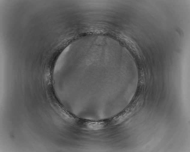 X0000110890465200907091358