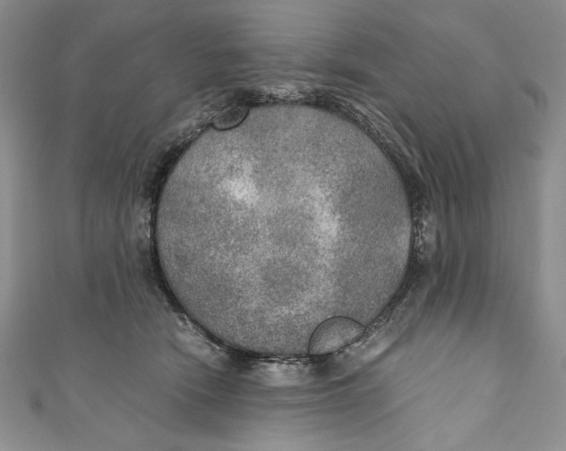 X0000110890466200907091358