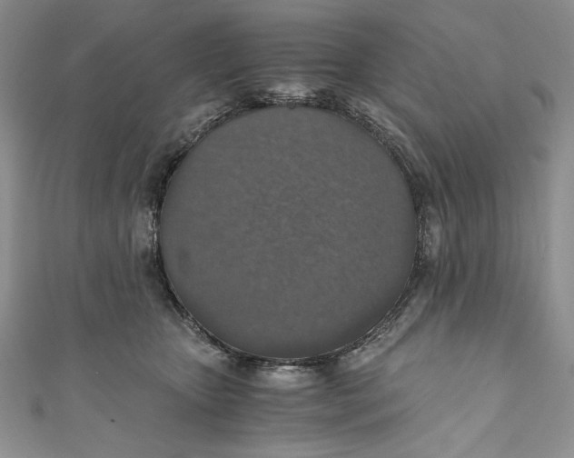 X0000110890467200907091358