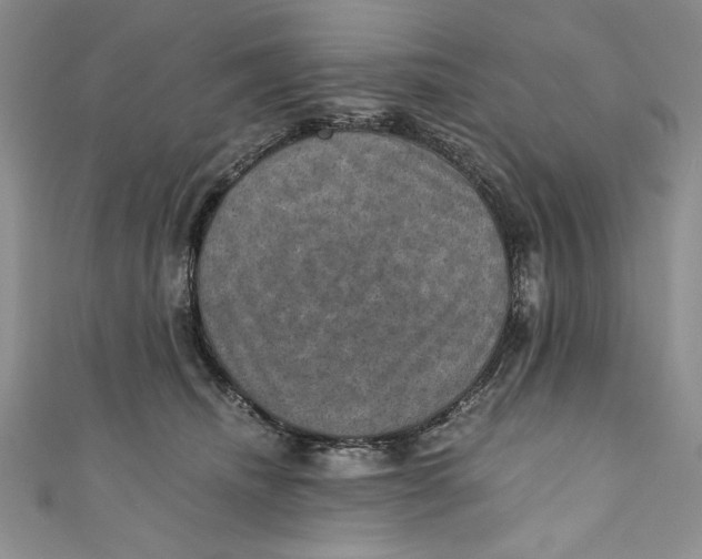 X0000110890468200907091358