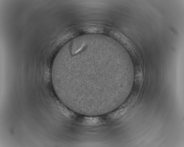 X0000110890469200907091358