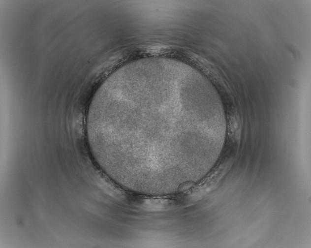 X0000110890470200907091358