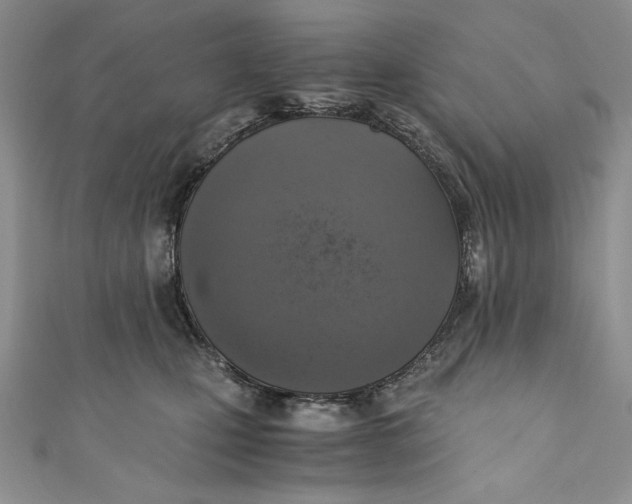 X0000110890471200907091358