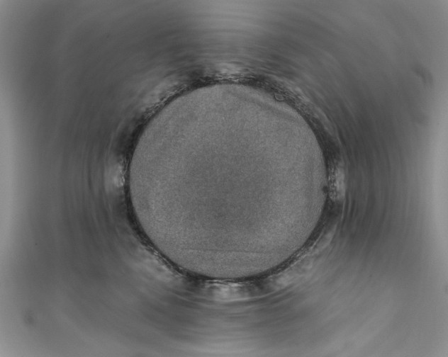 X0000110890472200907091358