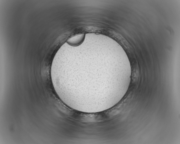 X0000110890473200907091358