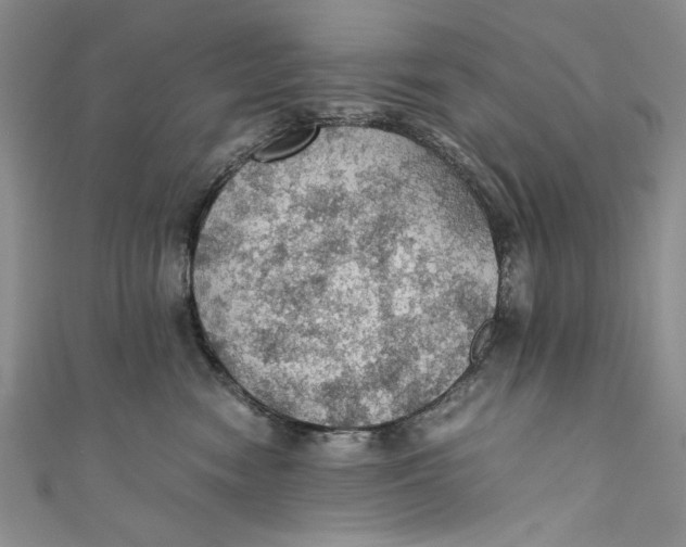 X0000110890474200907091358