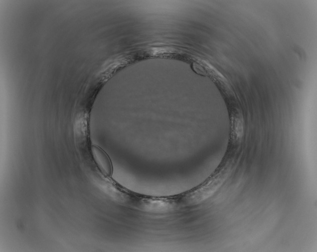 X0000110890475200907091358