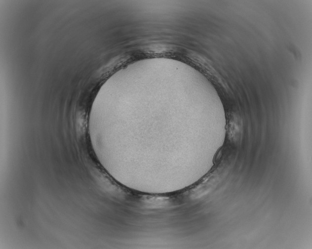 X0000110890476200907091358