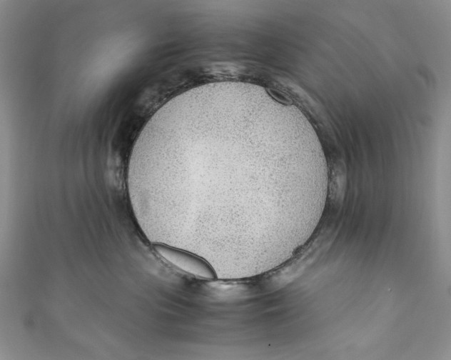 X0000110890477200907091358