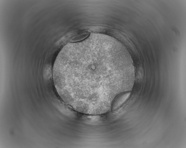 X0000110890478200907091358