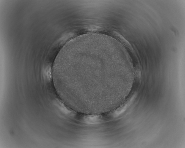 X0000110890479200907091358