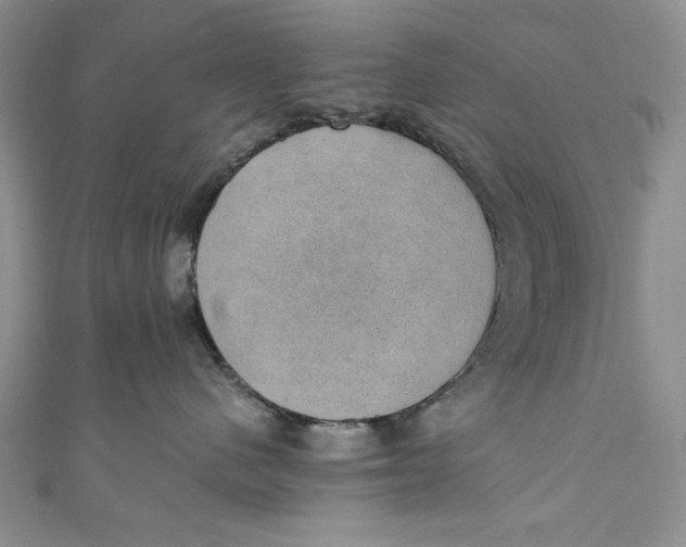 X0000110890480200907091358