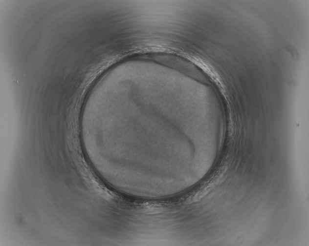 X0000110890481200907091357