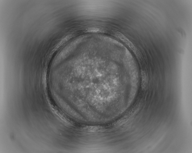 X0000110890482200907091357