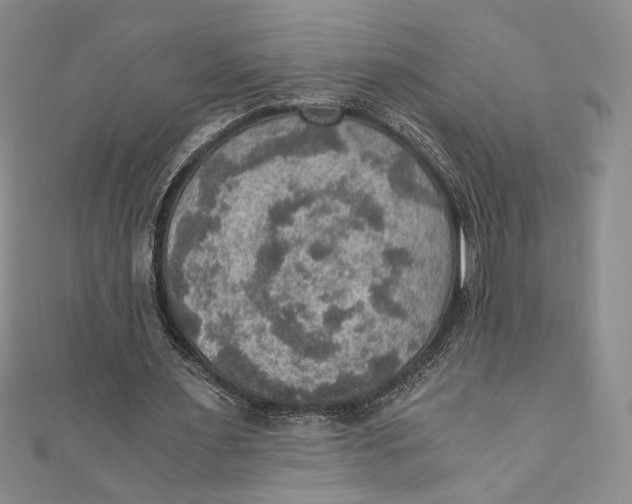 X0000110890483200907091357