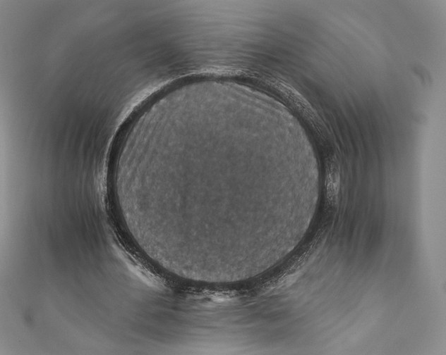 X0000110890484200907091357