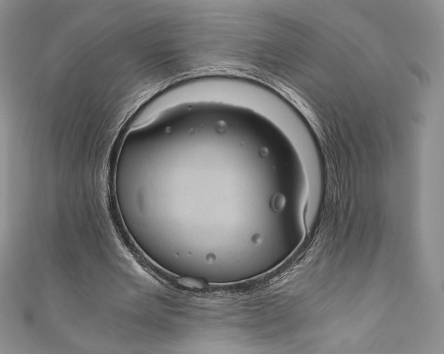 X0000110890485200907091357