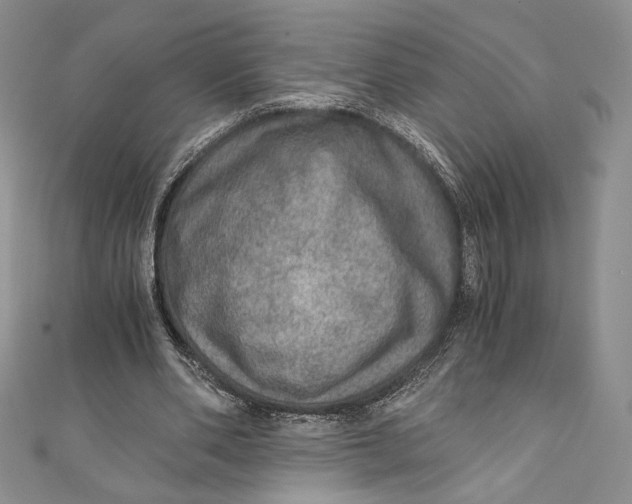 X0000110890486200907091357