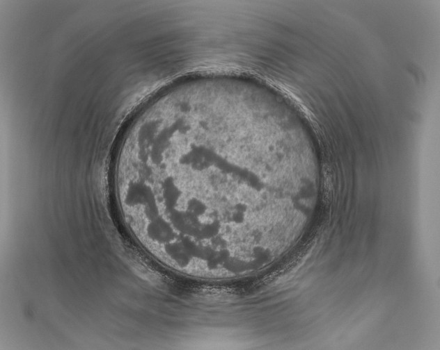 X0000110890487200907091357