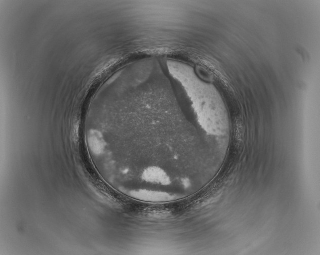 X0000110890491200907091357