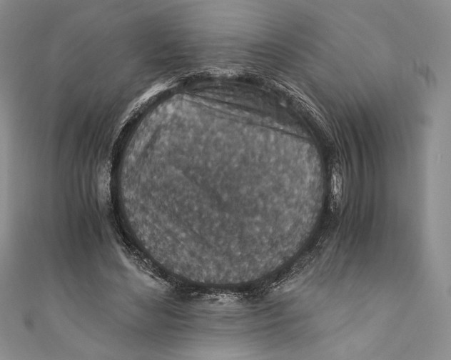 X0000110890492200907091357