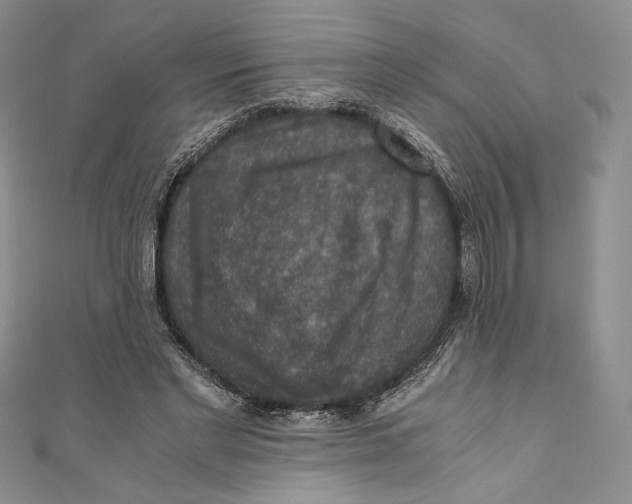 X0000110890493200907091357