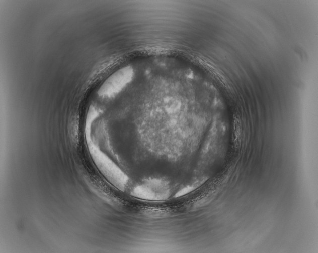 X0000110890494200907091357