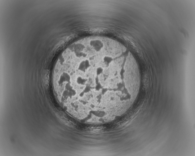 X0000110890495200907091357