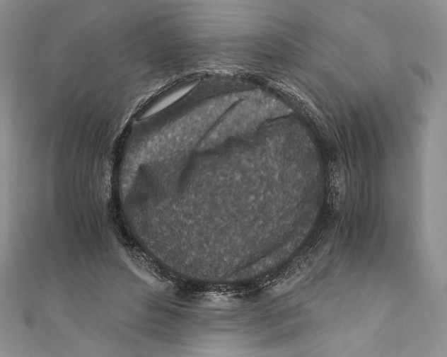 X0000110890496200907091357