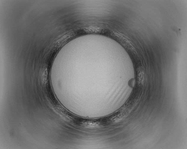 X0000110890498200907091357