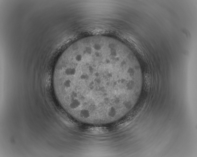 X0000110890499200907091357