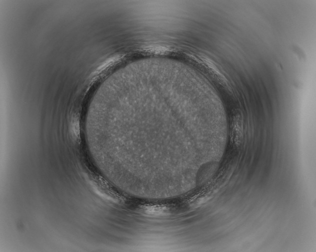 X0000110890500200907091357