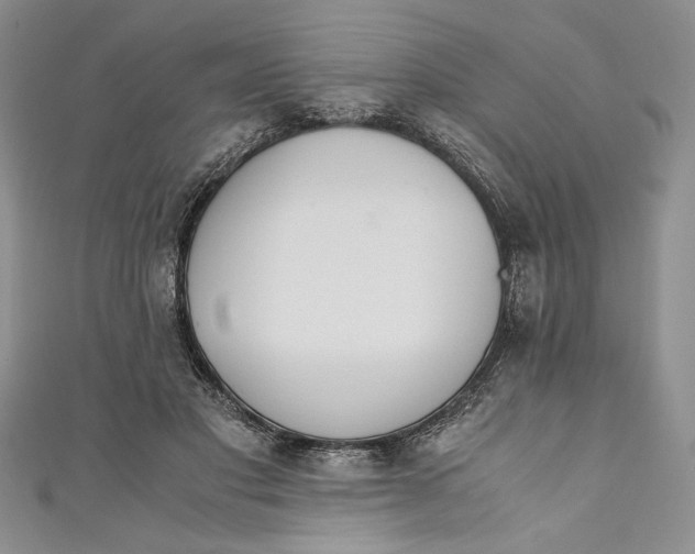 X0000110890501200907091357