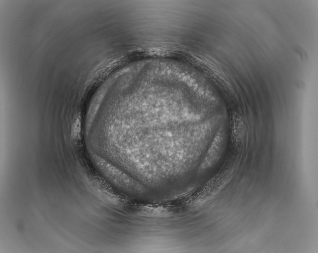 X0000110890502200907091357