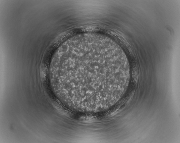 X0000110890503200907091357