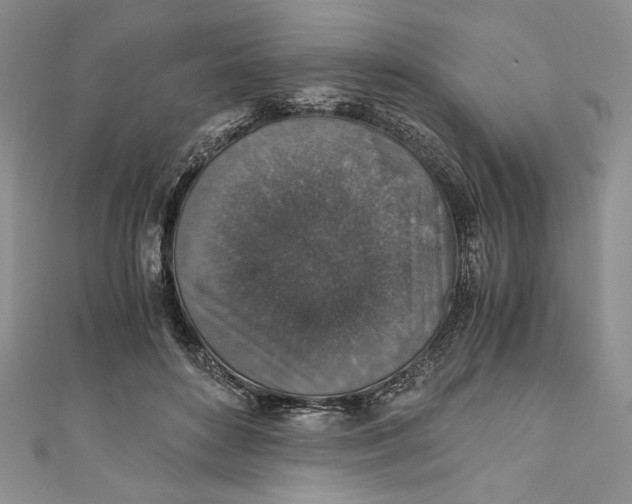 X0000110890504200907091357