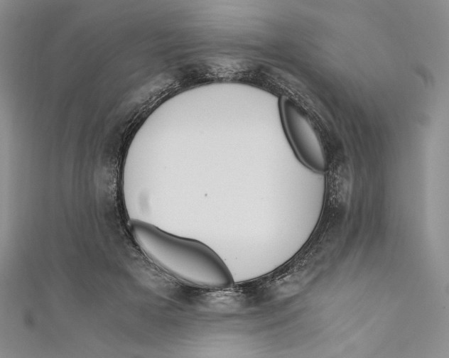 X0000110890505200907091357