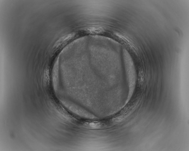 X0000110890506200907091357