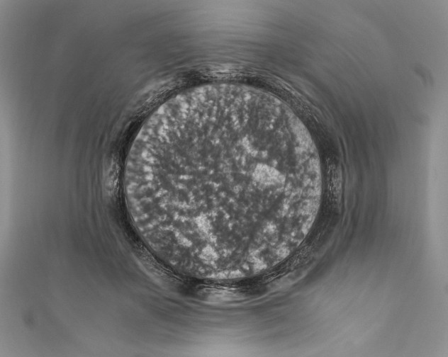 X0000110890507200907091357