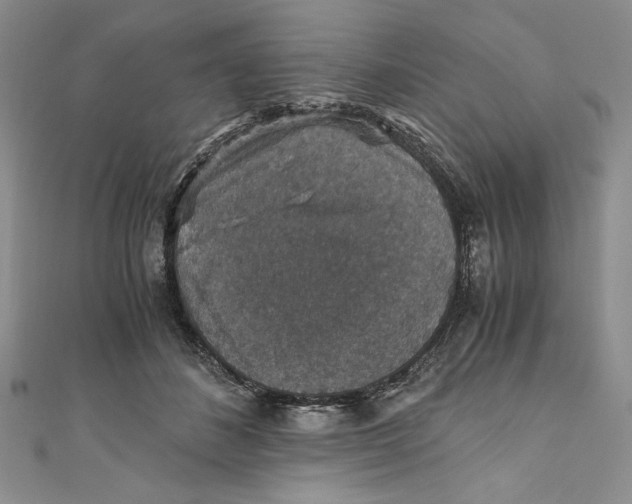 X0000110890508200907091357