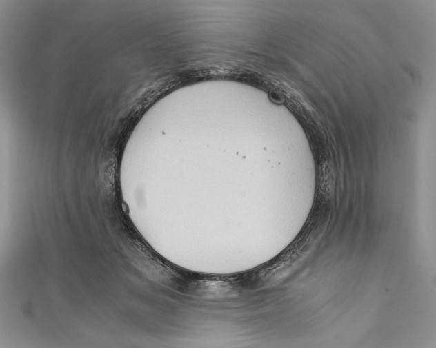 X0000110890509200907091357