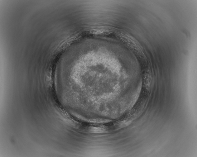 X0000110890510200907091357