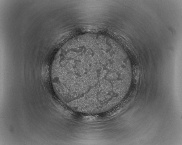 X0000110890511200907091357