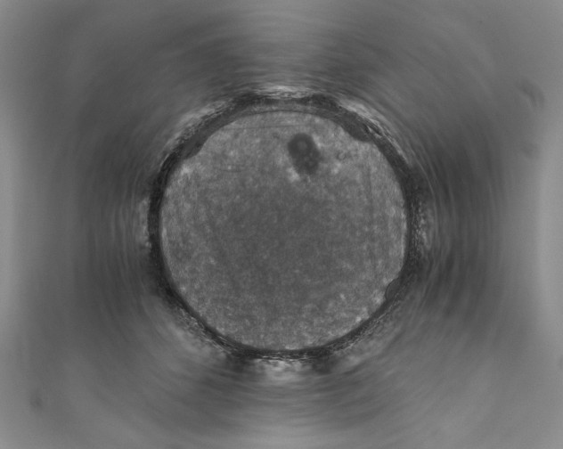 X0000110890512200907091357