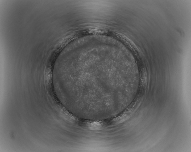 X0000110890513200907091357