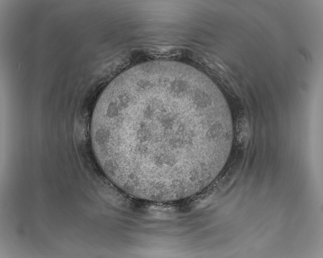 X0000110890515200907091356