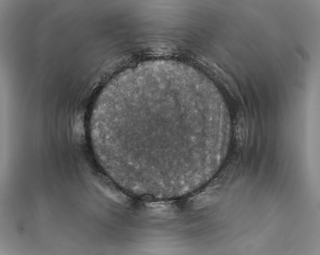 X0000110890516200907091356