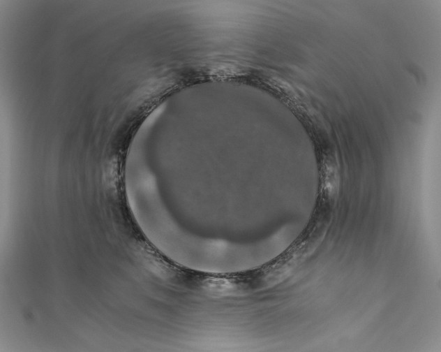 X0000110890519200907091356