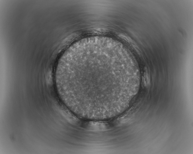 X0000110890520200907091356