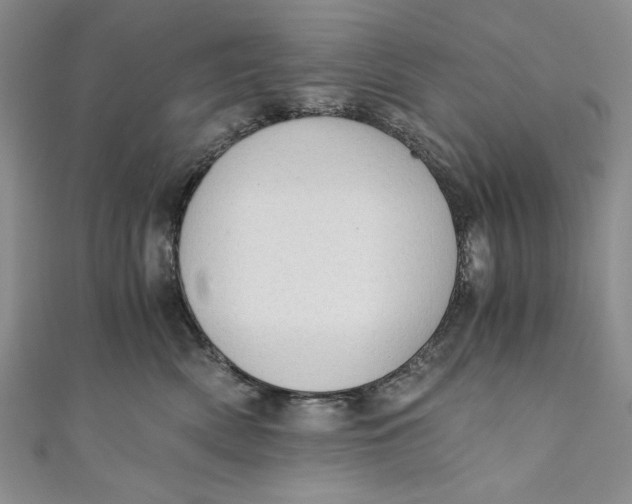 X0000110890522200907091356